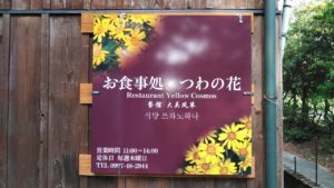 yakushima_tuwanohana